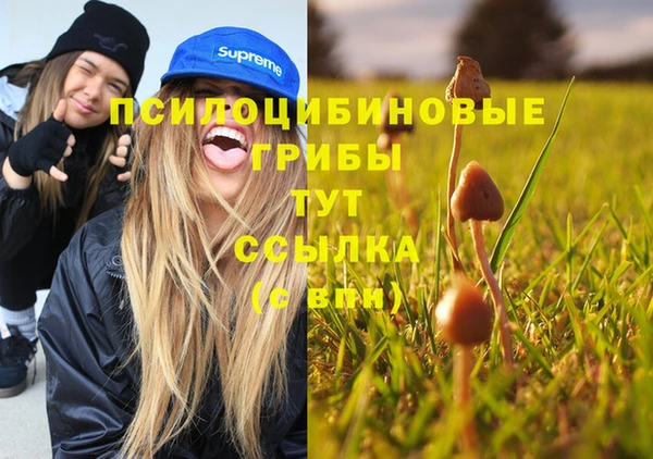 твердый Алзамай